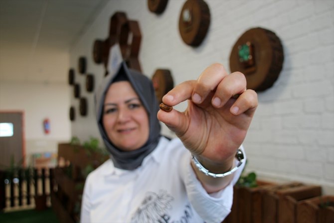 Öğrenciler "Tohum Kütüphanesi"yle ata tohumlarını geleceğe taşıyor
