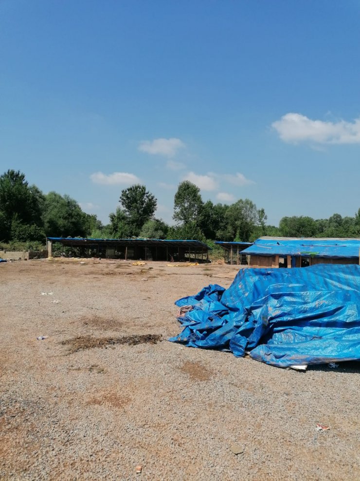 Selde 56 köpeğin öldüğü ruhsatsız barınak yıkıldı