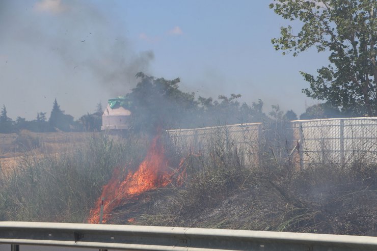 Tekirdağ’da çıkan yangında 50 dönüm alan zarar gördü