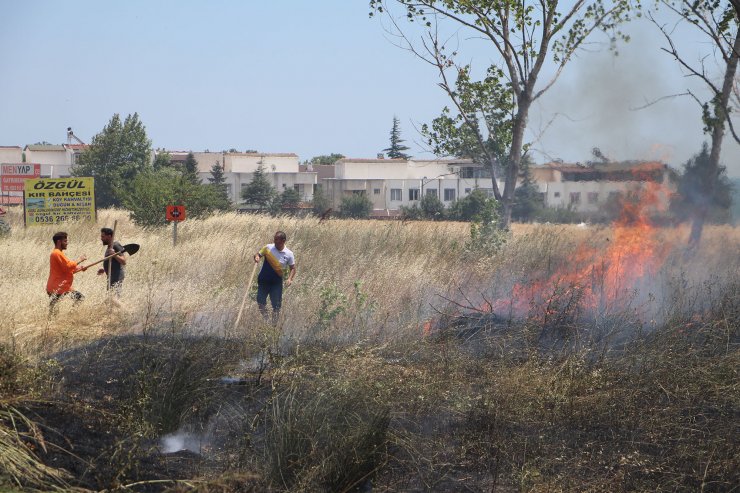 Tekirdağ’da çıkan yangında 50 dönüm alan zarar gördü