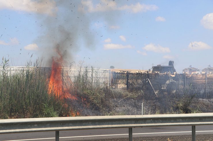 Tekirdağ’da çıkan yangında 50 dönüm alan zarar gördü