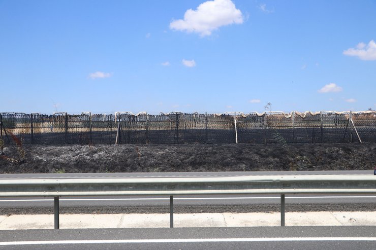 Tekirdağ’da çıkan yangında 50 dönüm alan zarar gördü