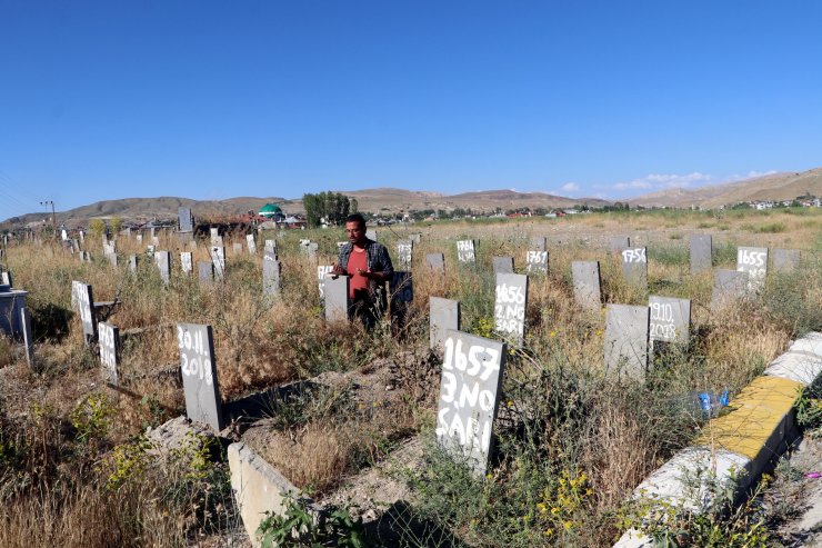 Van'nın isimsiz 255 mezarı