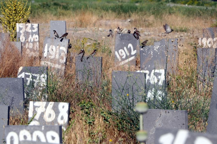 Van'nın isimsiz 255 mezarı
