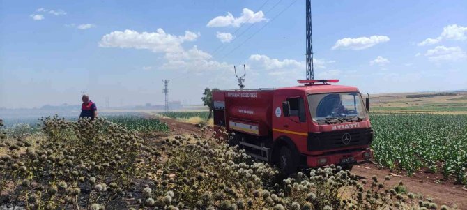 Anız yangını korkuttu