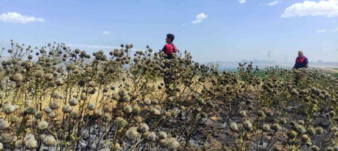 Anız yangını korkuttu