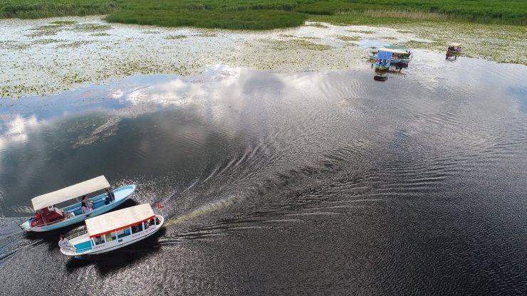 Beyşehir Gölü, 'nilüfer tarlası' gibi