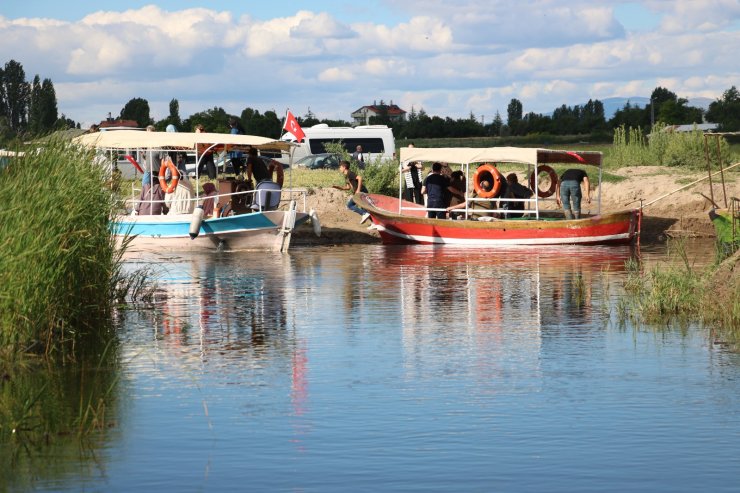 Beyşehir Gölü, 'nilüfer tarlası' gibi