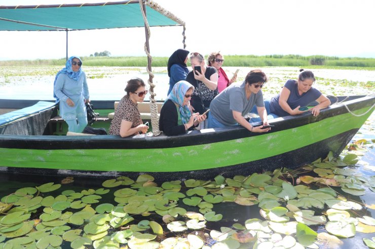 Beyşehir Gölü, 'nilüfer tarlası' gibi