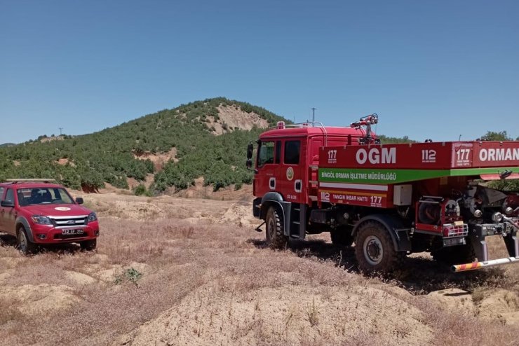 Bingöl'de orman yangını