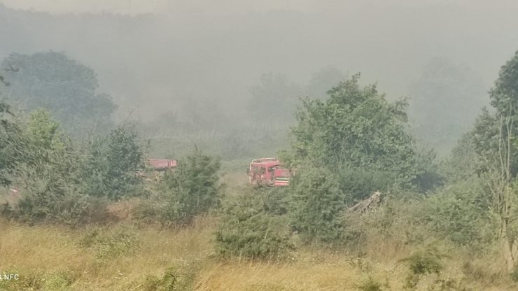 Çanakkale'de orman yangını