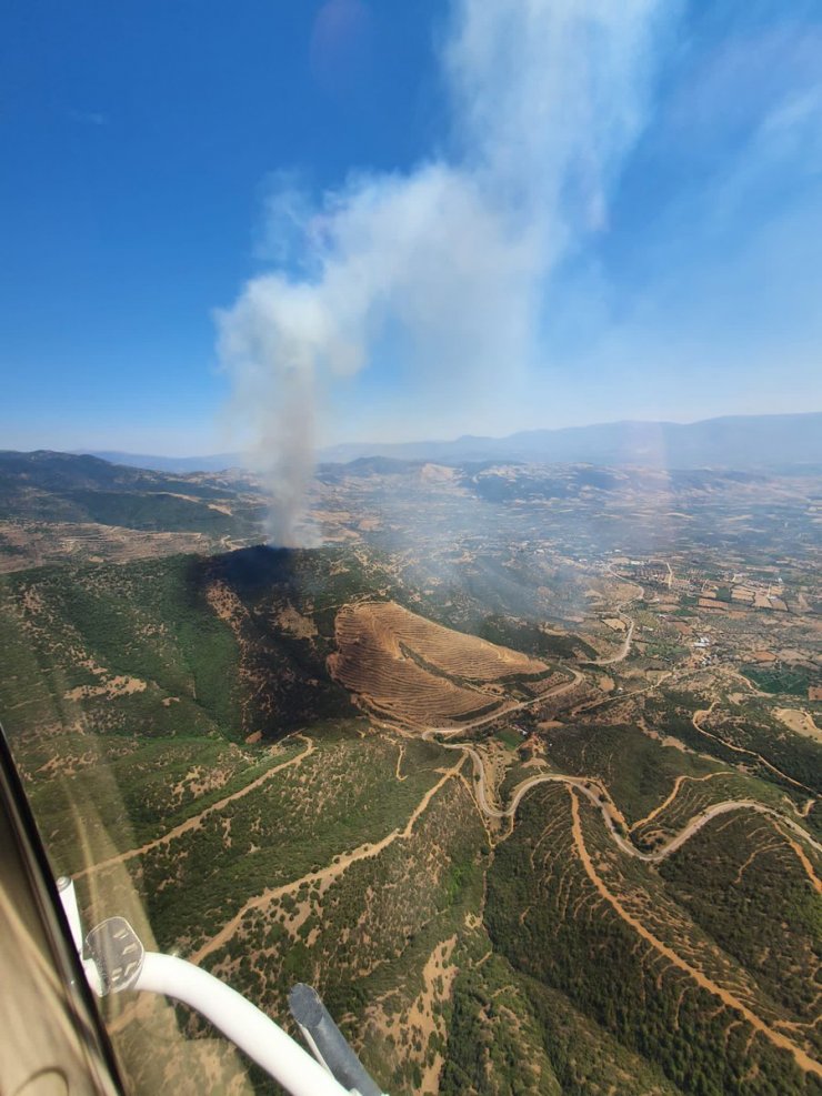 Çanakkale'de orman yangını