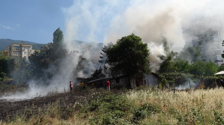 Çiftlikte korkutan yangın; 2 ahır kül oldu, sokak hayvanları öldü