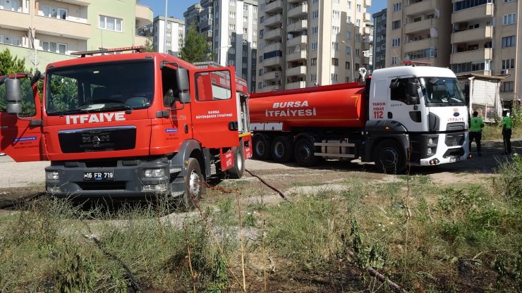Çiftlikte korkutan yangın; 2 ahır kül oldu, sokak hayvanları öldü