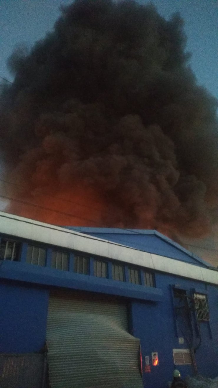 Geri dönüşüm fabrikasında yangın