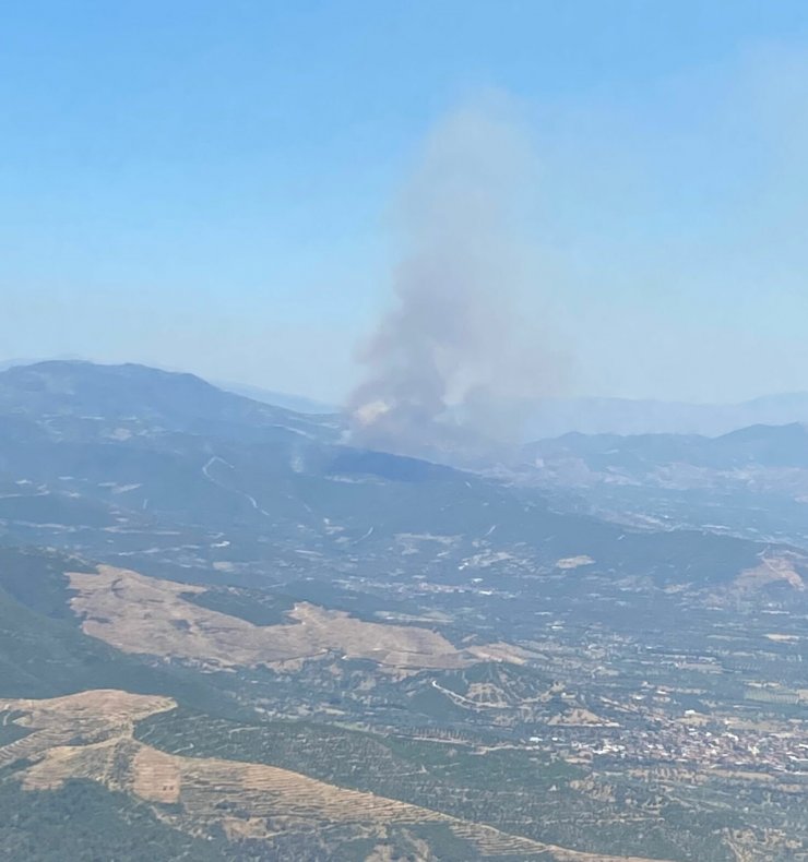İzmir’de iki orman yangını