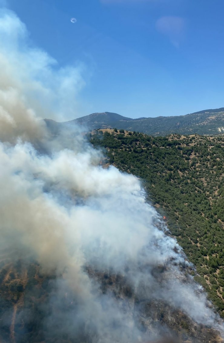 İzmir’de iki orman yangını
