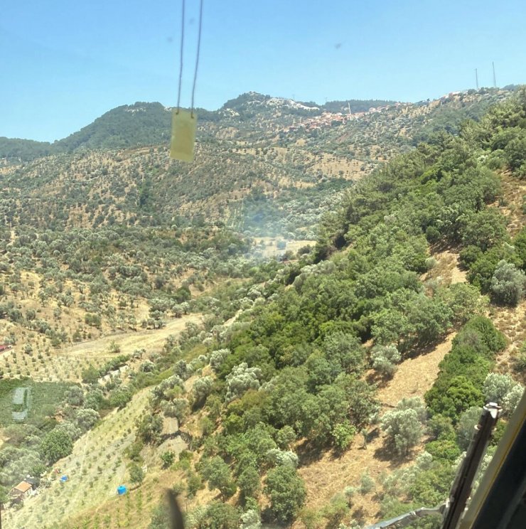 İzmir’de iki orman yangını