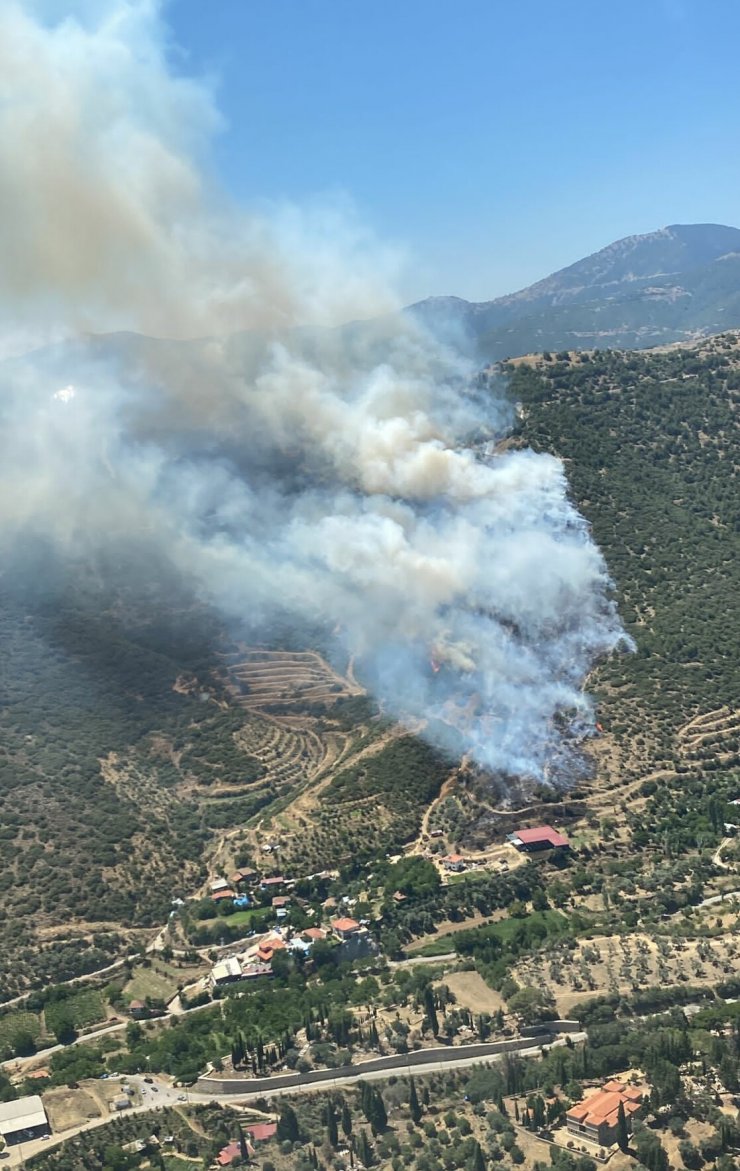 İzmir’de iki orman yangını