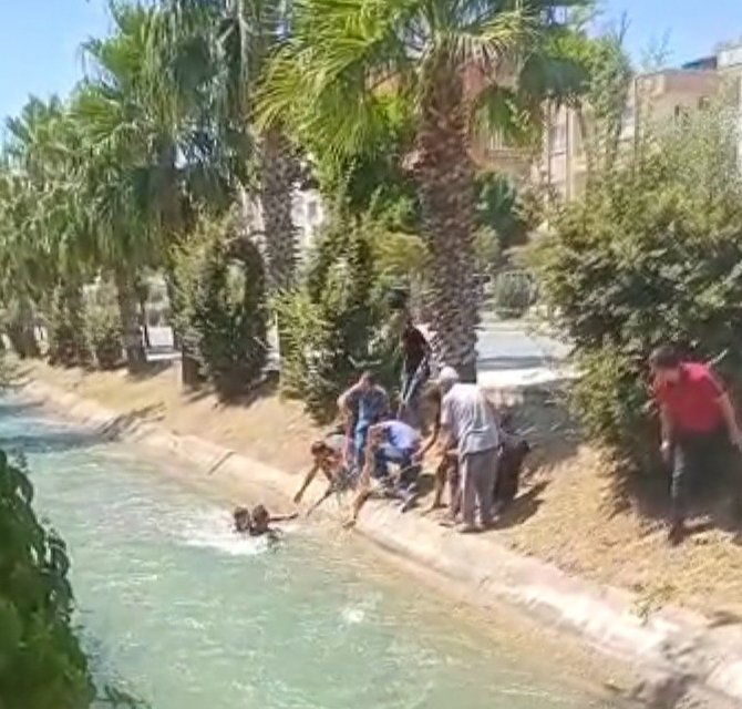 Kanala düşen çocuğu, gençler kurtardı