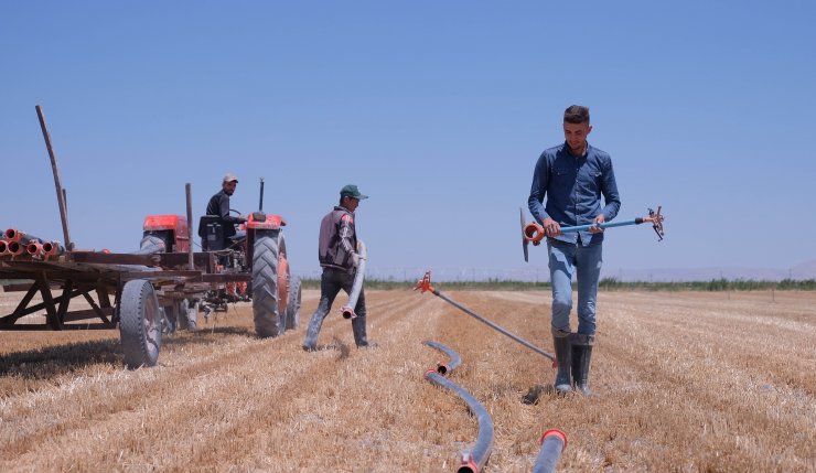 TMO'nun fiyat artışı, Konya Ovası çiftçisini sevindirdi