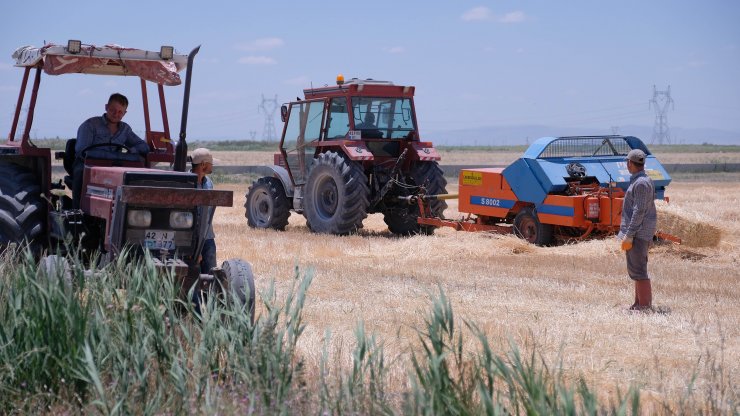 TMO'nun fiyat artışı, Konya Ovası çiftçisini sevindirdi