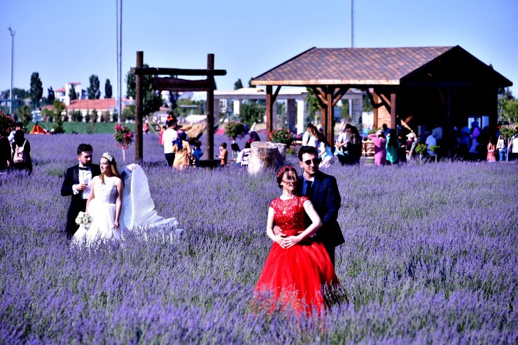 Konya Ovası'ndaki lavanta bahçesi fotoğraf çekim alanı oldu