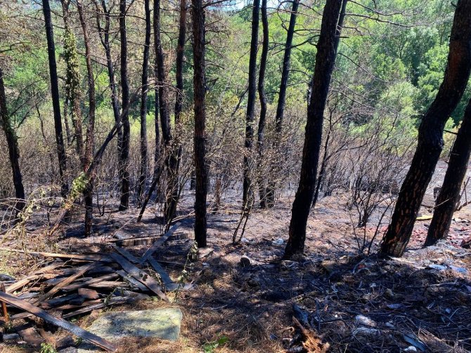 Korkutan orman yangını: Alevler evlerin bahçesine sıçradı