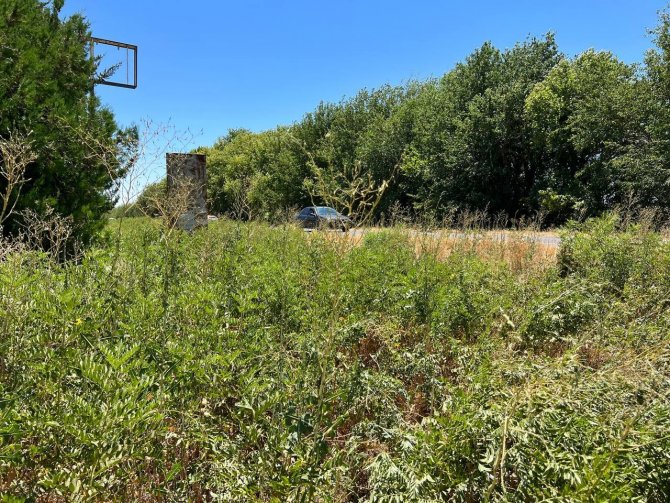 Otomobil şarampole devrildi