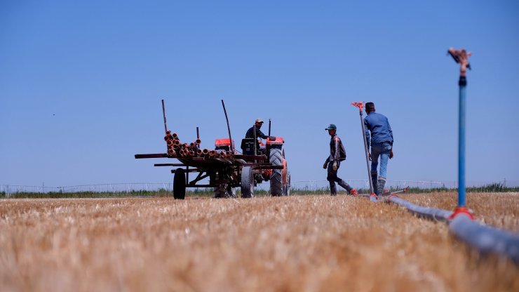 'Tahıl ambarı' Konya'da hasat sezonunda 2 milyon tonun üzerinde rekolte bekleniyor