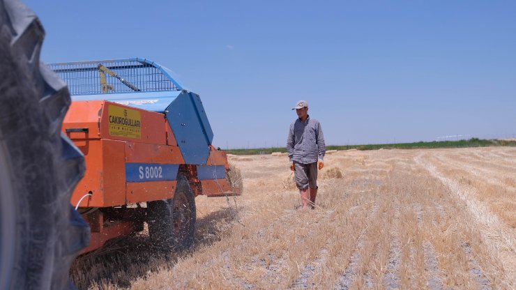 'Tahıl ambarı' Konya'da hasat sezonunda 2 milyon tonun üzerinde rekolte bekleniyor