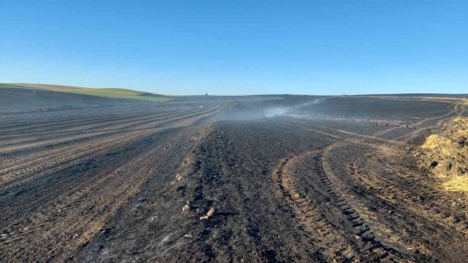 Tekirdağ’da bin dönüm buğday tarlası yandı