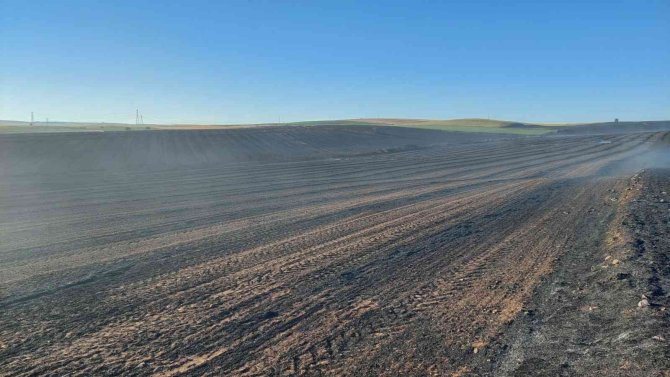 Tekirdağ’da bin dönüm buğday tarlası yandı
