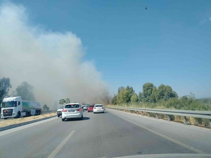 Yol kenarında çıkan yangın, sürücülere zor anlar yaşattı