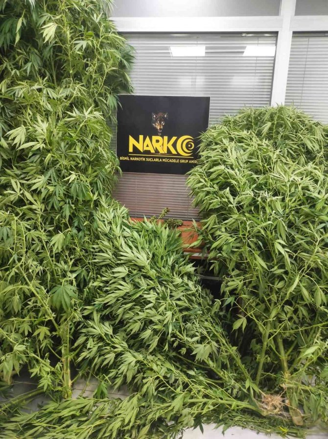 Diyarbakır’da 23 şüpheli gözaltına alındı