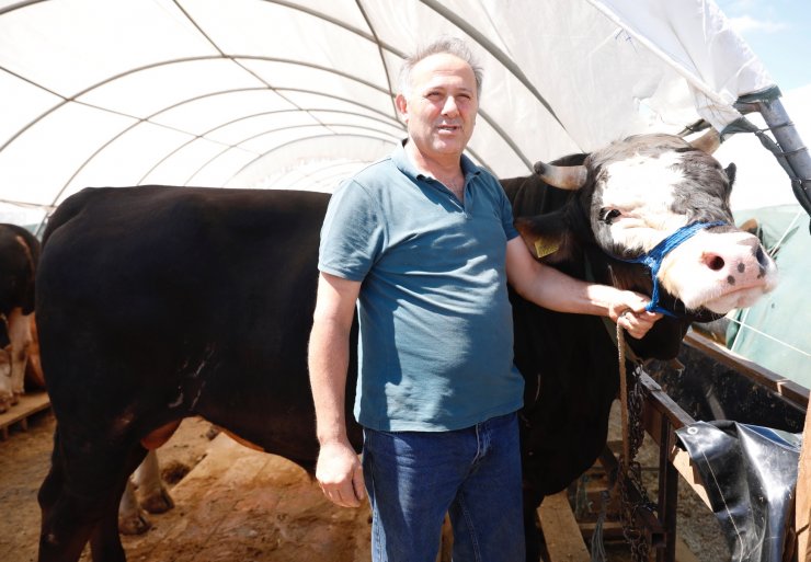 Kurban satıcılarına dolandırıcılık ve sahte para uyarısı