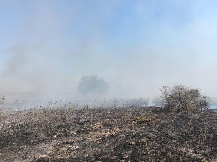 Otluk alandaki yangın sanayi sitesine sıçramadan söndürüldü