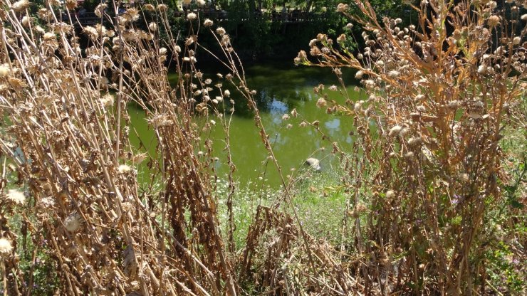 Tunca Nehri'nde erkek cesedi bulundu