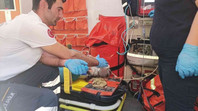 Adıyaman'da otomobilin çarpıp kaçtığı yaşlı kadın yaralandı