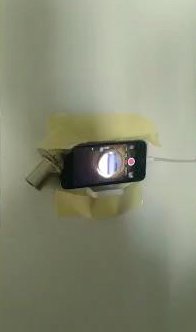 Adnan Oktar suç örgütü operasyonu: 3 gözaltı