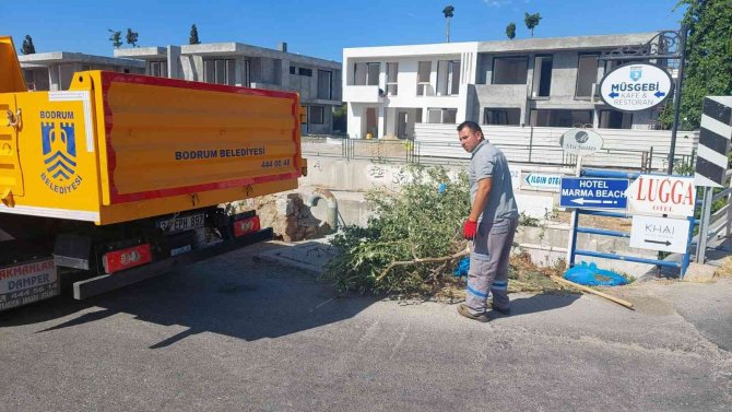 Bodrum’da 14 bin 962 ton evsel atık toplandı