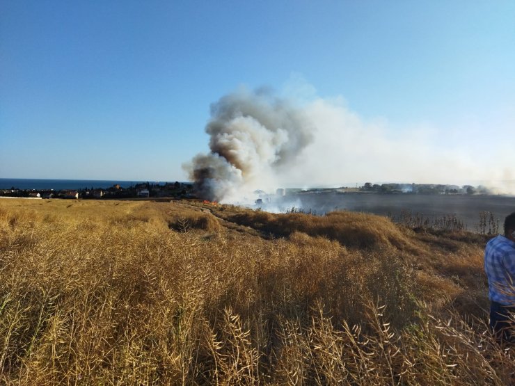 Buğday tarlası alev alev yandı