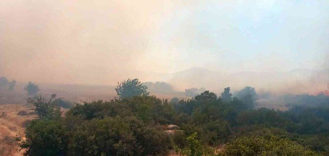 Çanakkale’de orman yangını