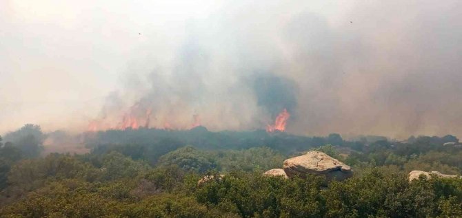 Çanakkale’de orman yangını