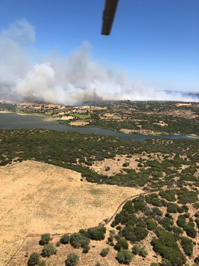 Çanakkale’de orman yangını