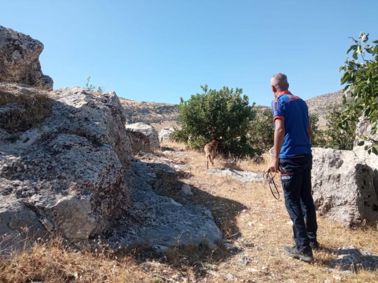 Diyarbakır'da, kayıp şizofreni hastası için arama çalışması başlatıldı