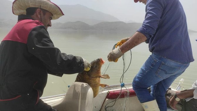 Elazığ’da kaçak avlanan 84 kişiye 350 bin lira ceza