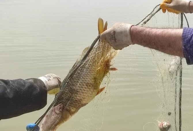 Elazığ’da kaçak avlanan 84 kişiye 350 bin lira ceza