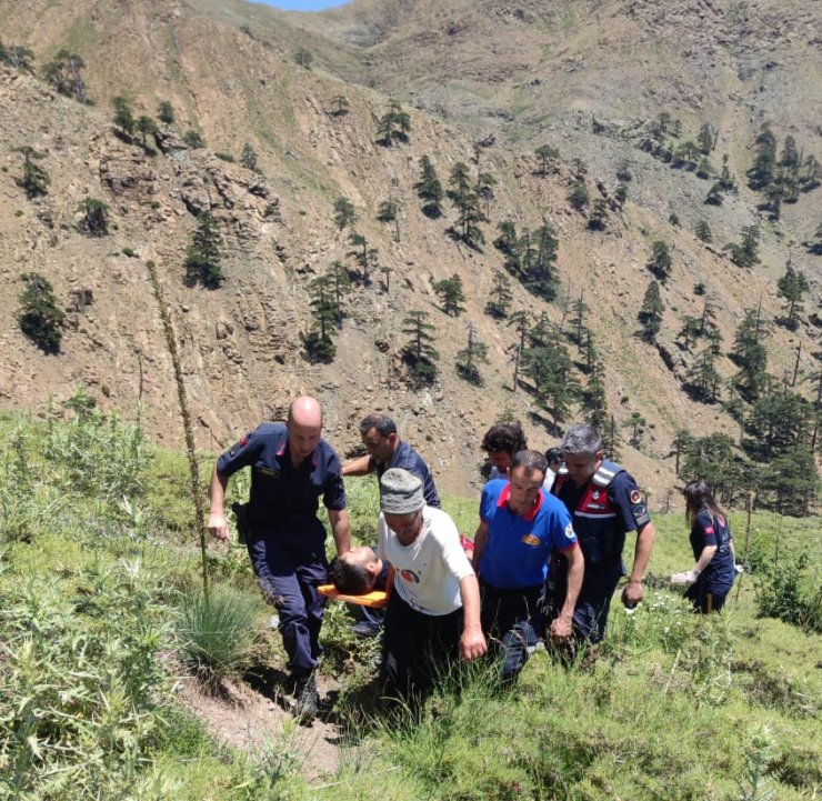 Kayalıklardan düşen çoban yaralandı