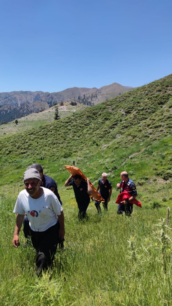 Kayalıklardan düşen vatandaşı kurtarmak için seferber oldular